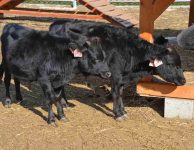 Farmapark Soběhrdy